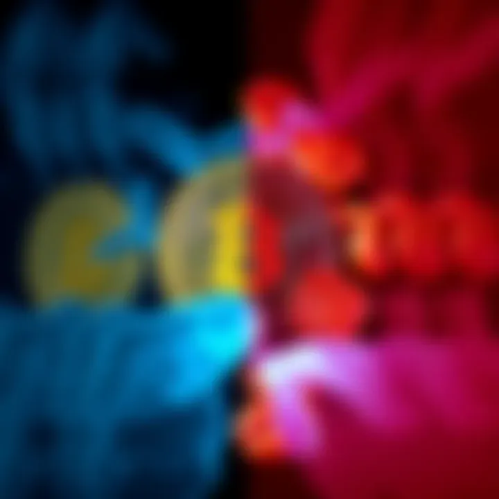 A split image showing Bitcoin symbols on one side and a variety of meats on the other, highlighting the debate between Bitcoin supporters and ethical diets.