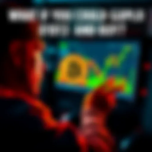 A person looking at a Bitcoin chart on a computer, reflecting on investment choices from 2013