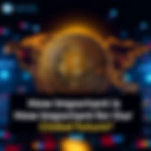 A Bitcoin symbol overlaying a world map, representing its impact on global finance.