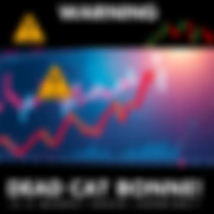 Market Downtrend Warning A graph showing a sharp rise followed by a steep decline, symbolizing the dead cat bounce phenomenon in the stock market