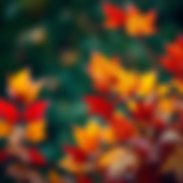 Colorful leaves representing growth and opportunity in October