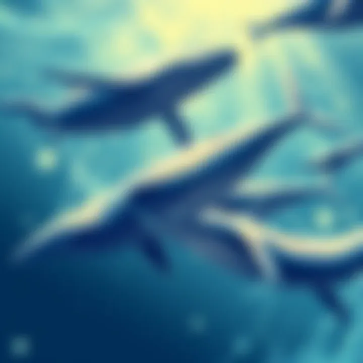Illustration of whales representing large investors making significant short positions in the market